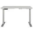SCHREIBTISCH 120/80/72-118 cm  in Silberfarben, Hellgrau  - Silberfarben/Hellgrau, MODERN, Holzwerkstoff/Metall (120/80/72-118cm) - Novel