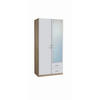 DREHTÜRENSCHRANK in Weiss, Sonoma Eiche  - Weiss/Silberfarben, Design, Holzwerkstoff/Kunststoff (91/197/54cm) - Boxxx