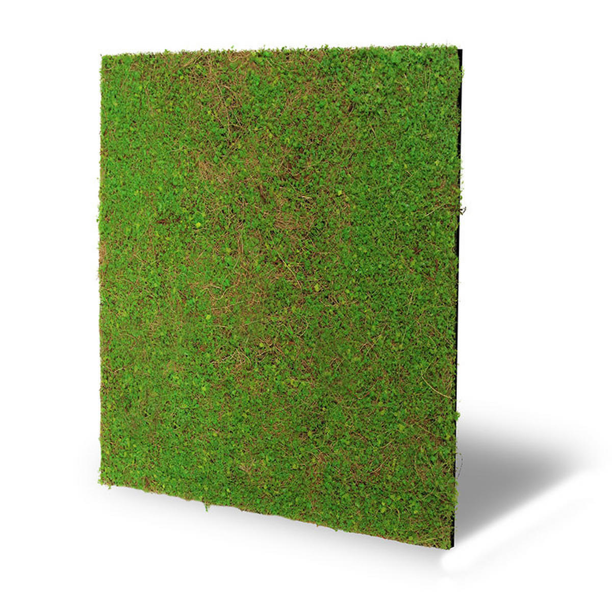 AKUSTIKPANEEL Modular Wall System Design Flora 52/52/2 cm  - Hellgrün, MODERN, Kunststoff (52/52/2cm) - Jangal