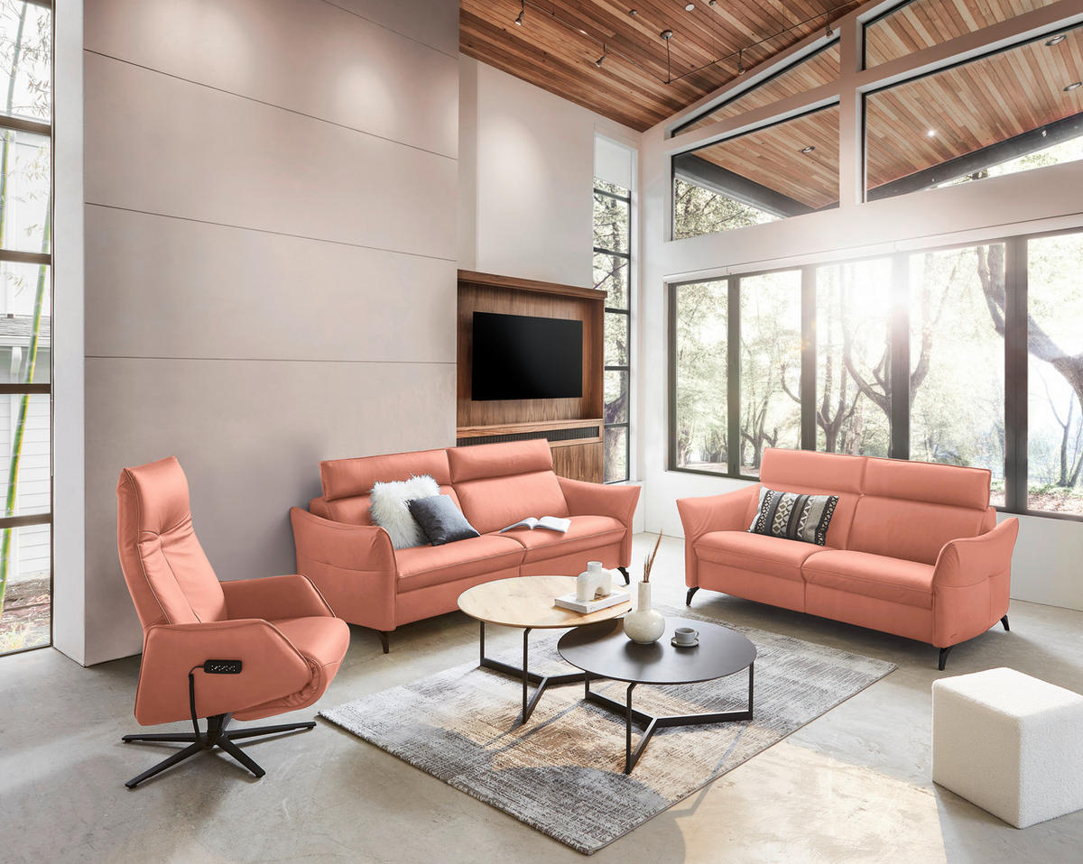 3-SITZER-SOFA in Echtleder Koralle  - Koralle/Anthrazit, Design, Leder/Metall (224/94/95cm) - Himolla