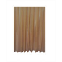 FÜGGÖNYANYAG fm - bézs, Basics (290cm)