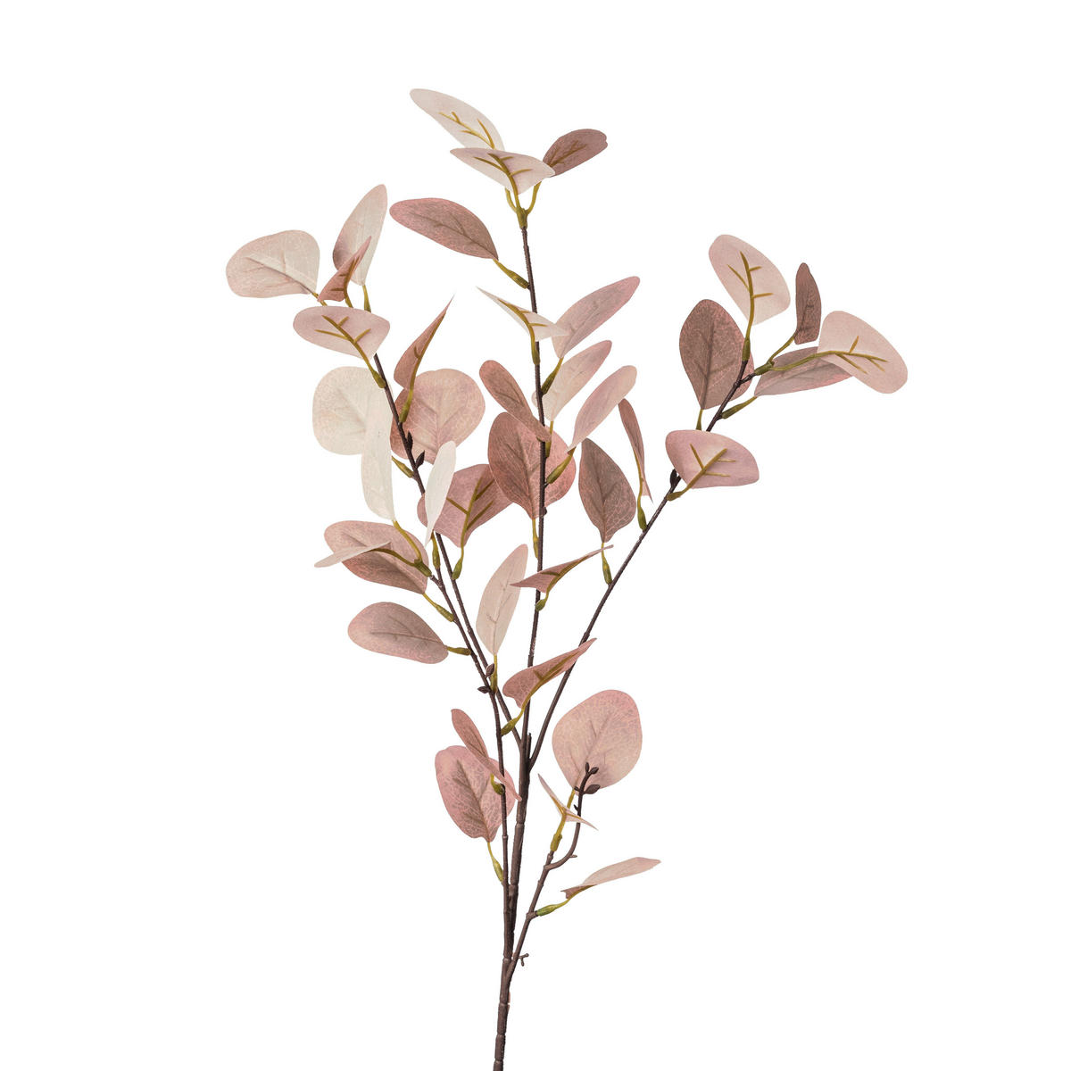 DEKORAČNÁ VETVIČKA eukalyptus 73 cm - zelená, Basics, plast (73cm)