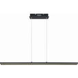LED-HÄNGELEUCHTE 101/8/120 cm  - Schwarz, Trend, Kunststoff/Metall (101/8/120cm) - Novel