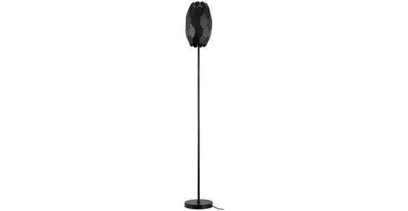 STEHLEUCHTE 20/148,5 cm    - Schwarz, Trend, Metall (20/148,5cm) - Novel