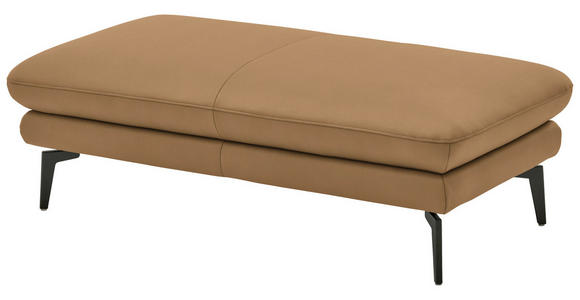 3-SITZER-SOFA in Leder Honig - Schwarz/Honig, Design, Leder/Metall (222/86/104cm) - Dieter Knoll