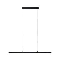 LED-HÄNGELEUCHTE LENTO 100/150 cm   - Schwarz, Design, Kunststoff/Metall (100/150cm) - Paulmann