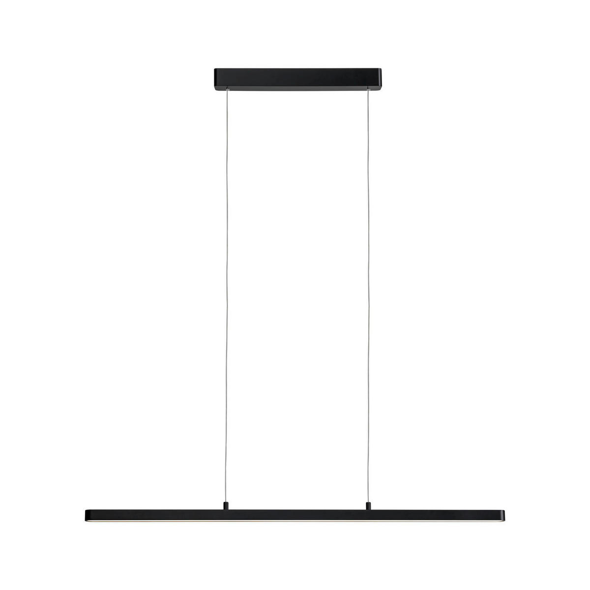 LED-HÄNGELEUCHTE LENTO 100/150 cm   - Schwarz, Design, Kunststoff/Metall (100/150cm) - Paulmann
