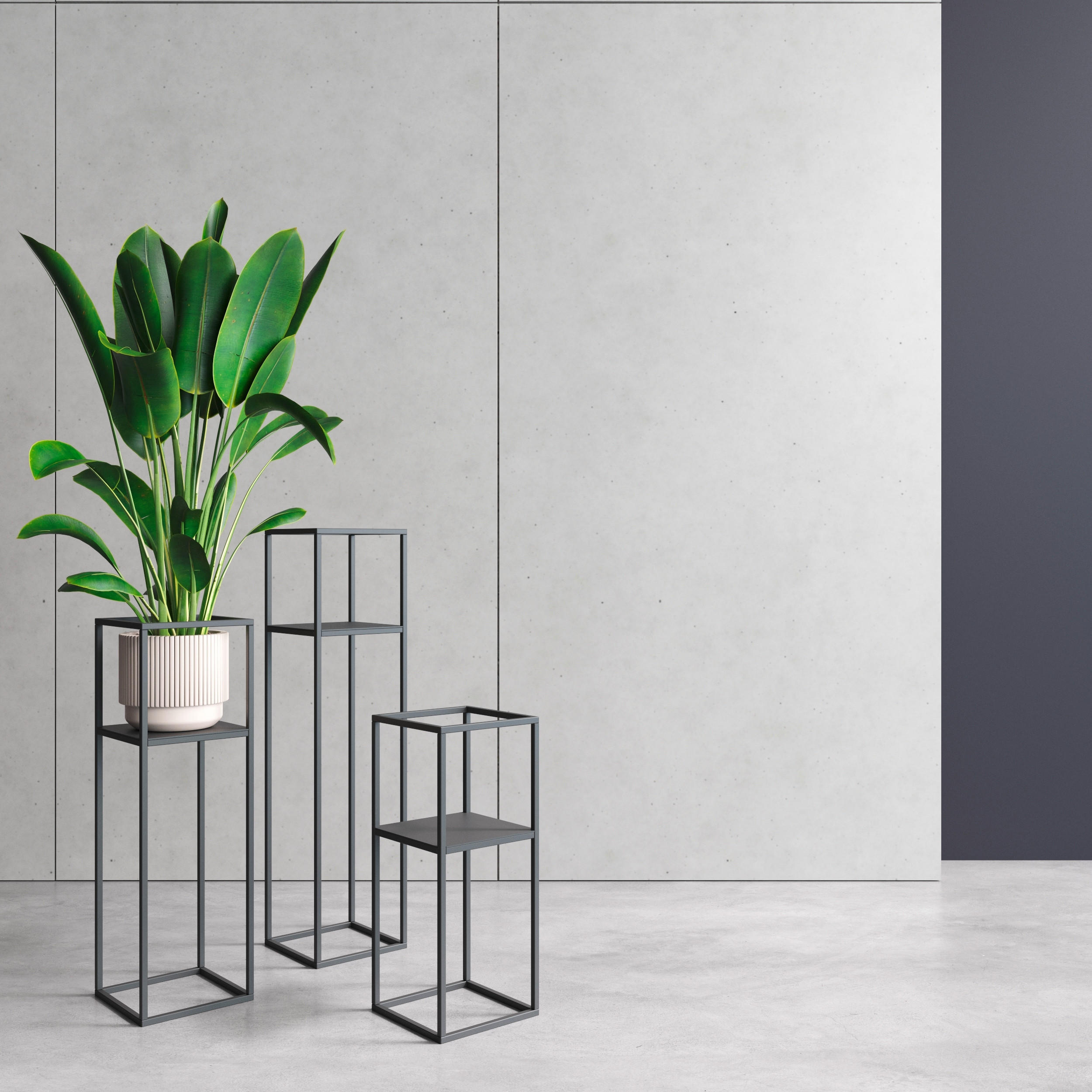BLUMENSTÄNDER in Metall  - Schwarz, Basics, Metall (19/47/19cm)