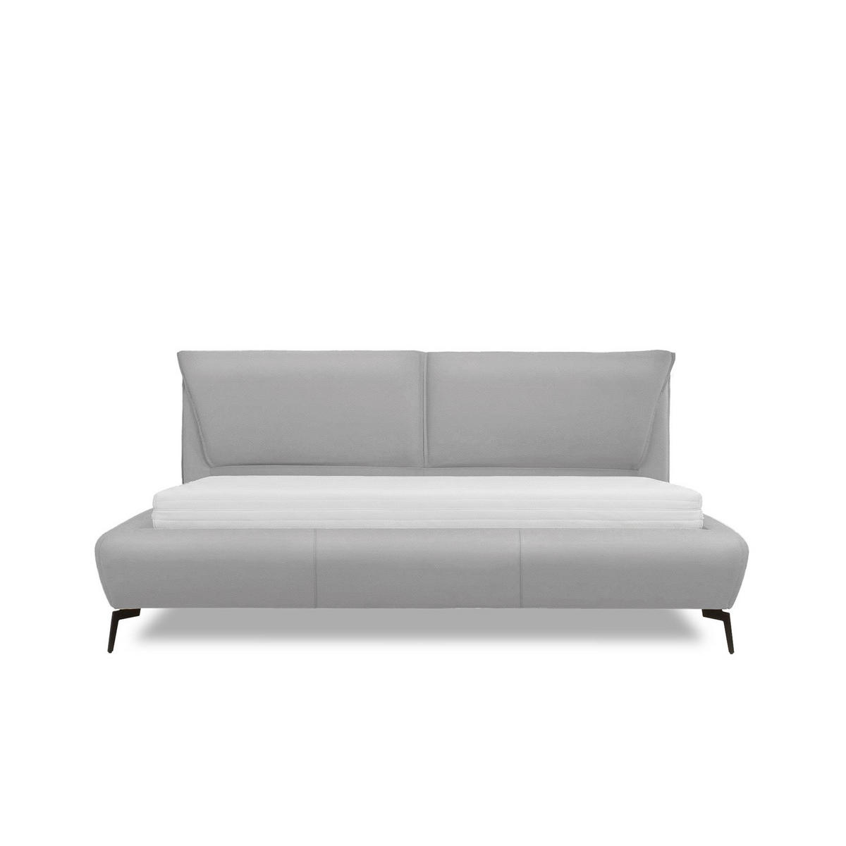 Pat, 160/200 cm, platinat - platinat/culoare crom, Basics, metal/piele (160/200cm) - Esposa