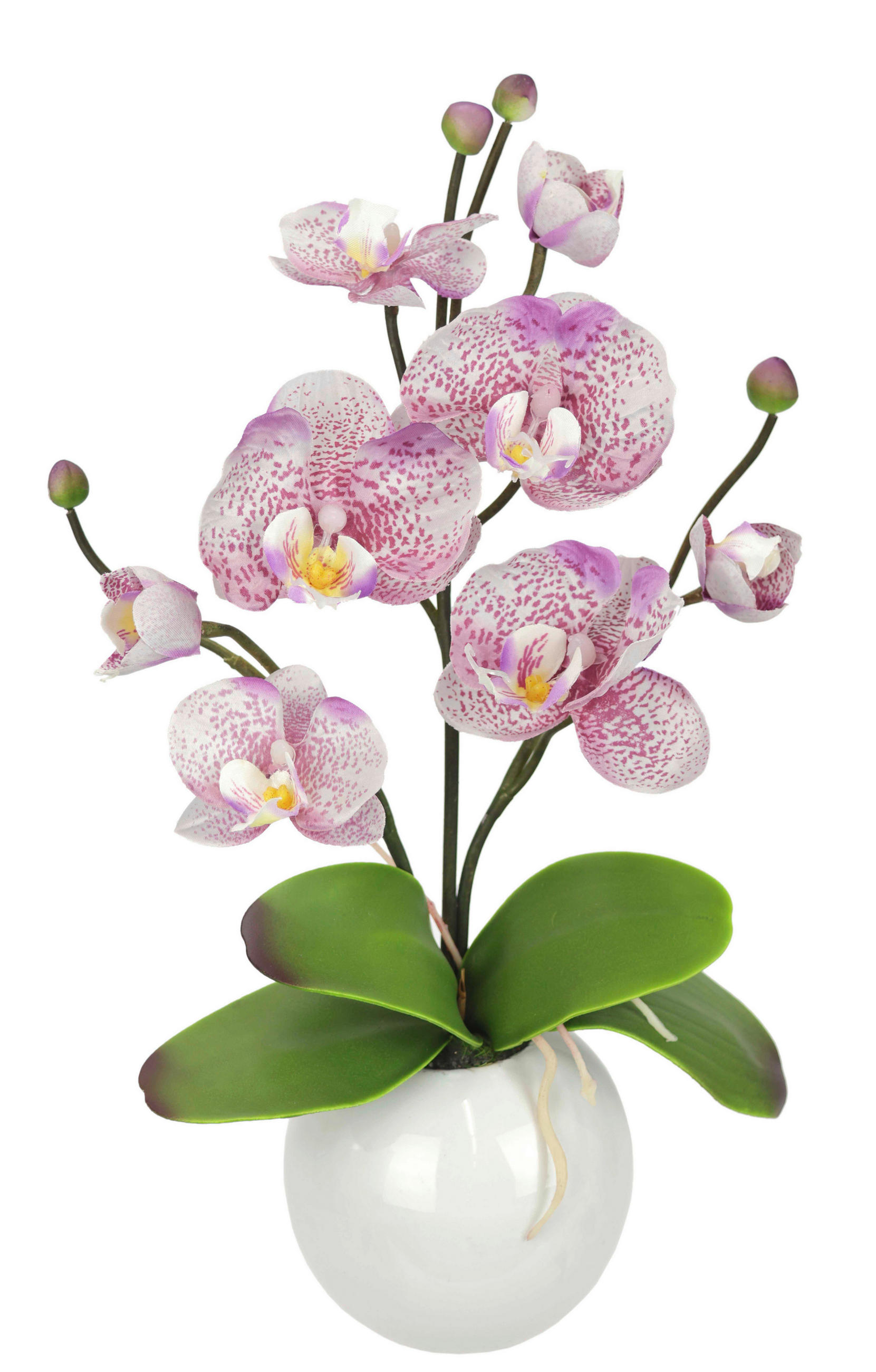 ORCHIDEE  - Violett/Weiß, Basics, Keramik/Textil (35cm)