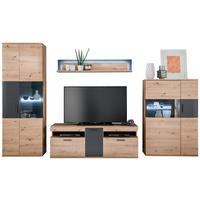 OBÝVACÍ STĚNA, antracitová, čiré, barvy dubu - barvy dubu/černá, Design, kov/kompozitní dřevo (330/198/50cm) - Livetastic