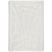 LEICHTDUVET 160/210 cm Klimakomfort  - Creme, Basics, Textil (160/210cm) - Sleeptex