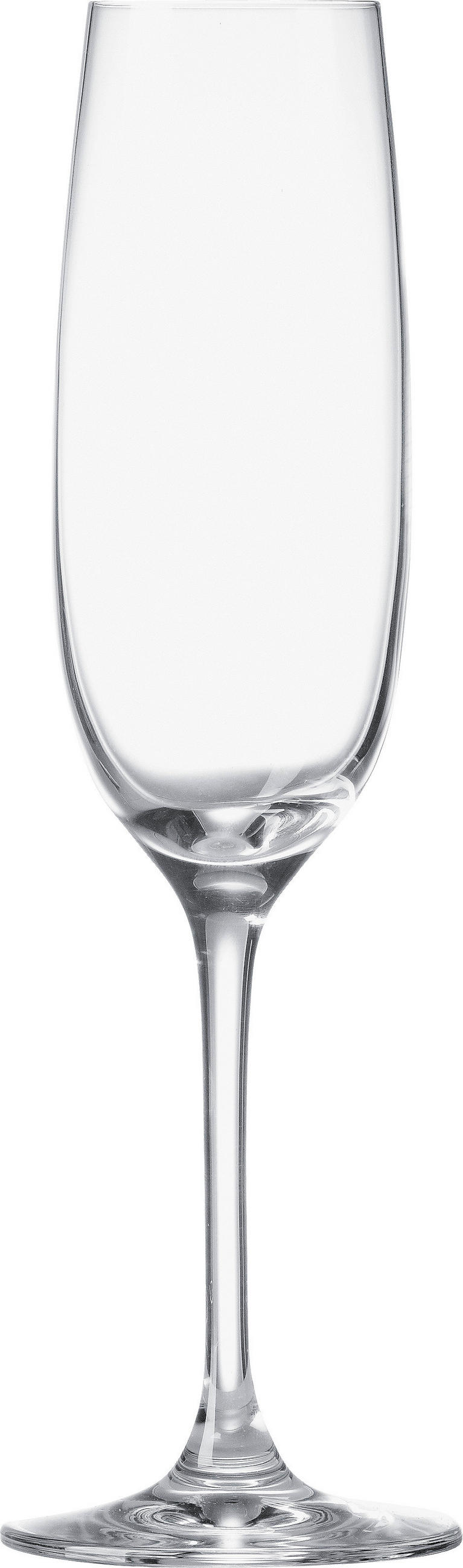 SEKTGLAS   - Klar, KONVENTIONELL, Glas (23cm) - Leonardo