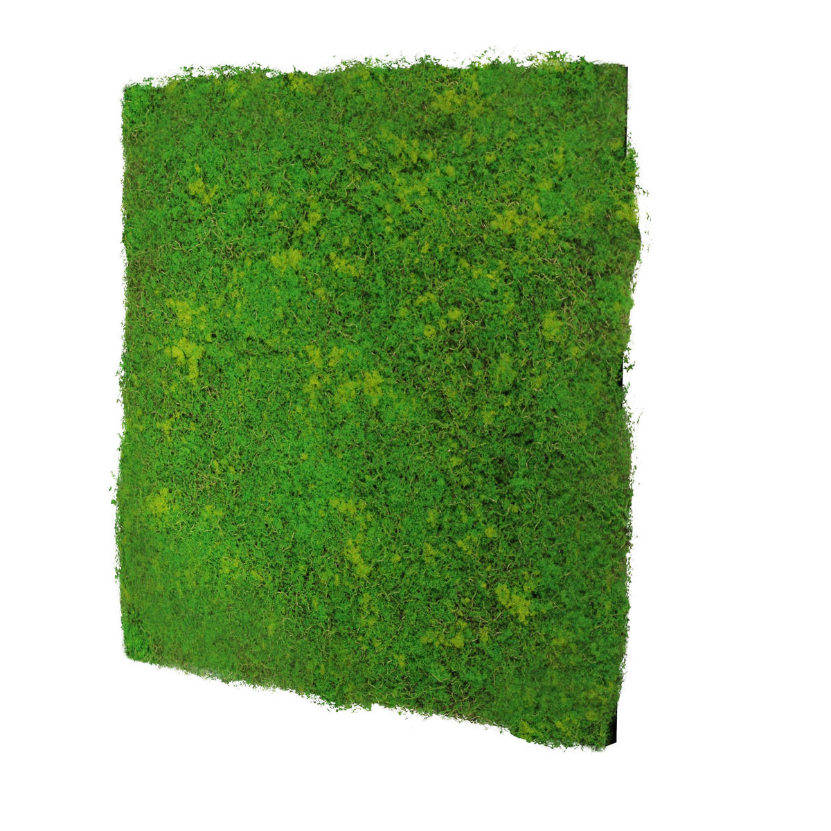 AKUSTIKPANEEL Modular Wall System Design Moos 52/52/3,2 cm  - Hellgrün, KONVENTIONELL, Kunststoff (52/52/3,2cm) - Jangal