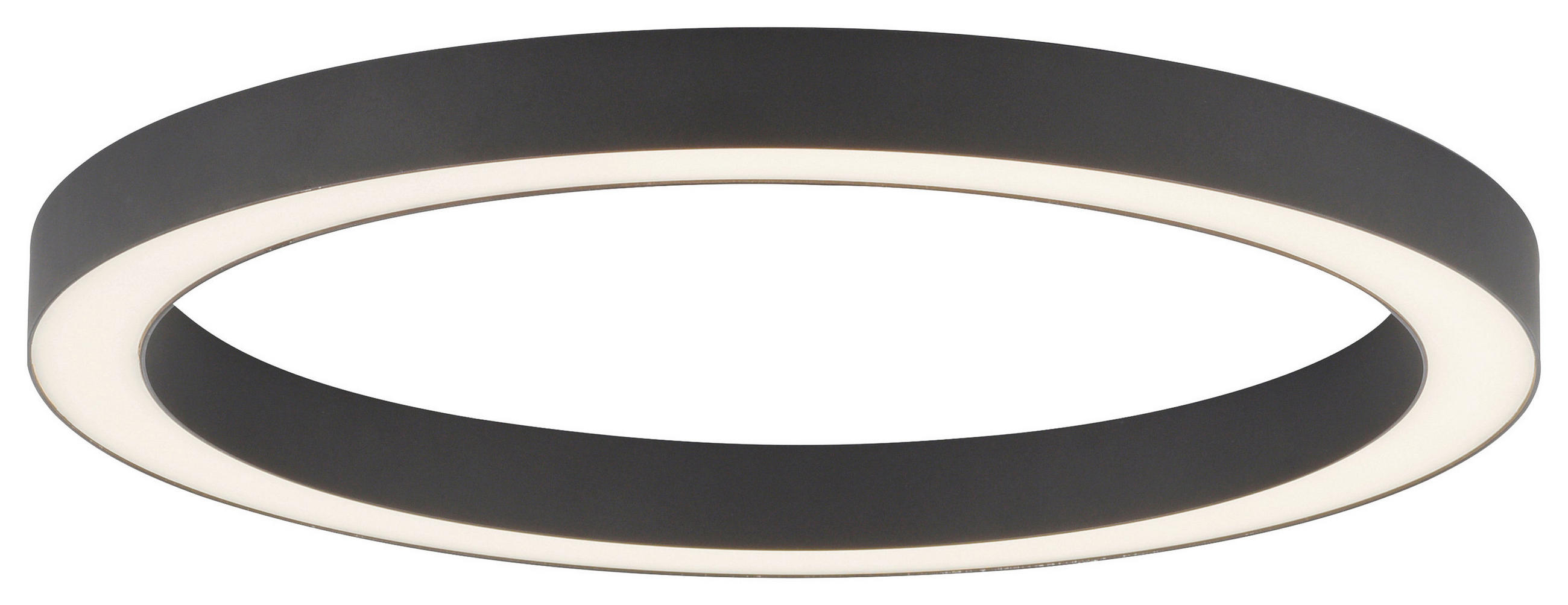 LED-DECKENLEUCHTE Pure Lines 50/3.9/4 cm   - Anthrazit, Design, Kunststoff/Metall (50/3.9/4cm) - Neuhaus PURE