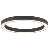 LED PLAFONJERA Pure Lines  - antracit, Dizajnerski, metal/plastika (50/3.9/4cm) - Neuhaus PURE