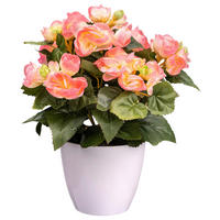 KUNSTPFLANZE 28 cm  - Rosa/Weiß, Design, Kunststoff (28cm) - P & B