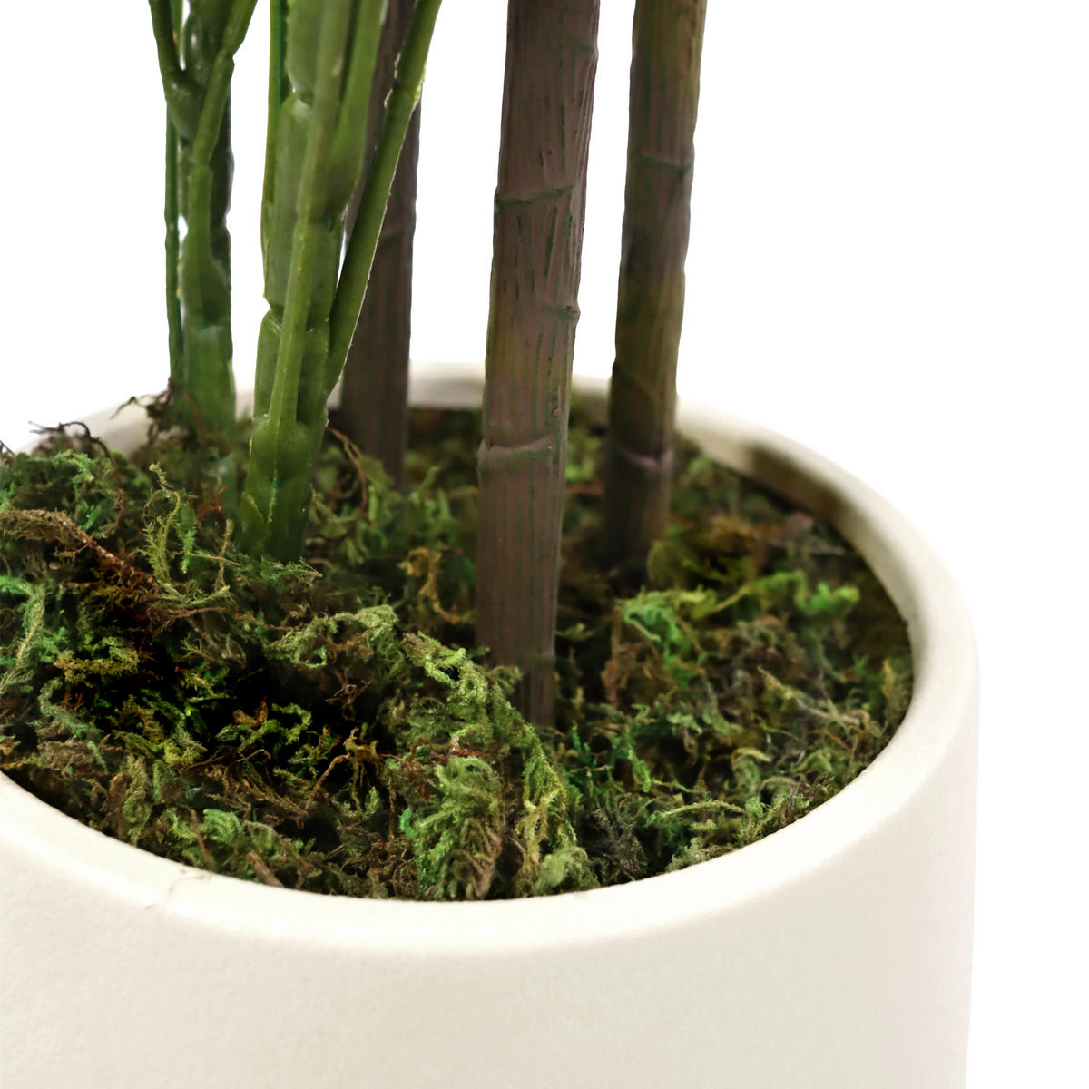 KUNSTPFLANZE Aralia  - Weiß/Grün, MODERN, Kunststoff/Metall (48/110/45cm) - MID.YOU