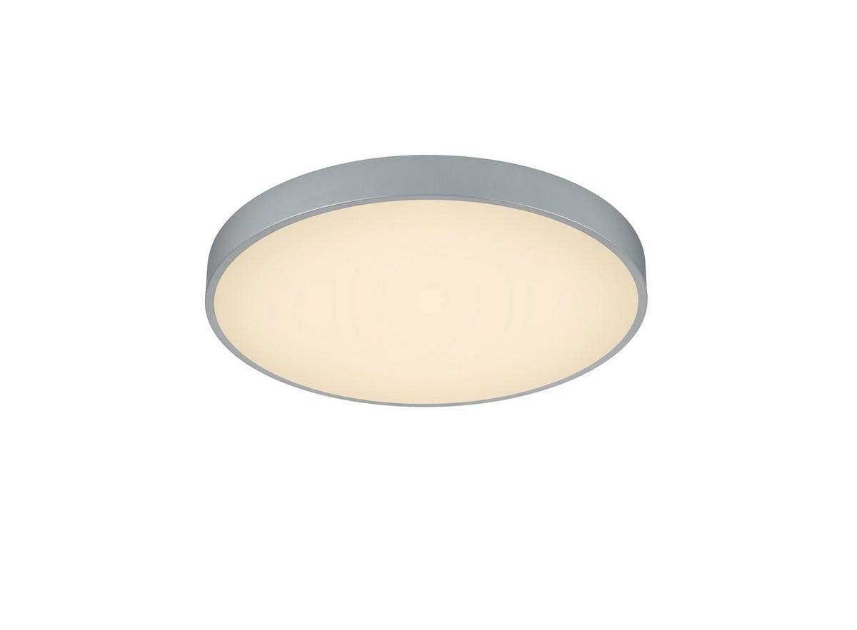 LED-DECKENLEUCHTE  49,5/6,5 cm    - Titanfarben, Basics (49,5/6,5cm) - Trio Leuchten