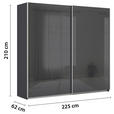 SCHWEBETÜRENSCHRANK  in Grau  - Alufarben/Grau, KONVENTIONELL, Glas/Holzwerkstoff (225/210/62cm) - Xora