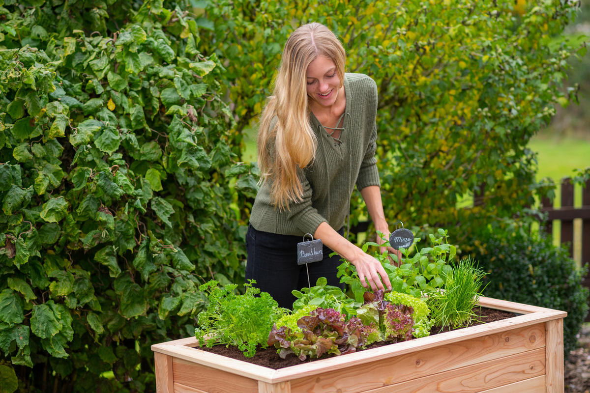 HOCHBEET  - Lärchefarben, Basics, Holz (120/75/65cm) - Ambia Garden