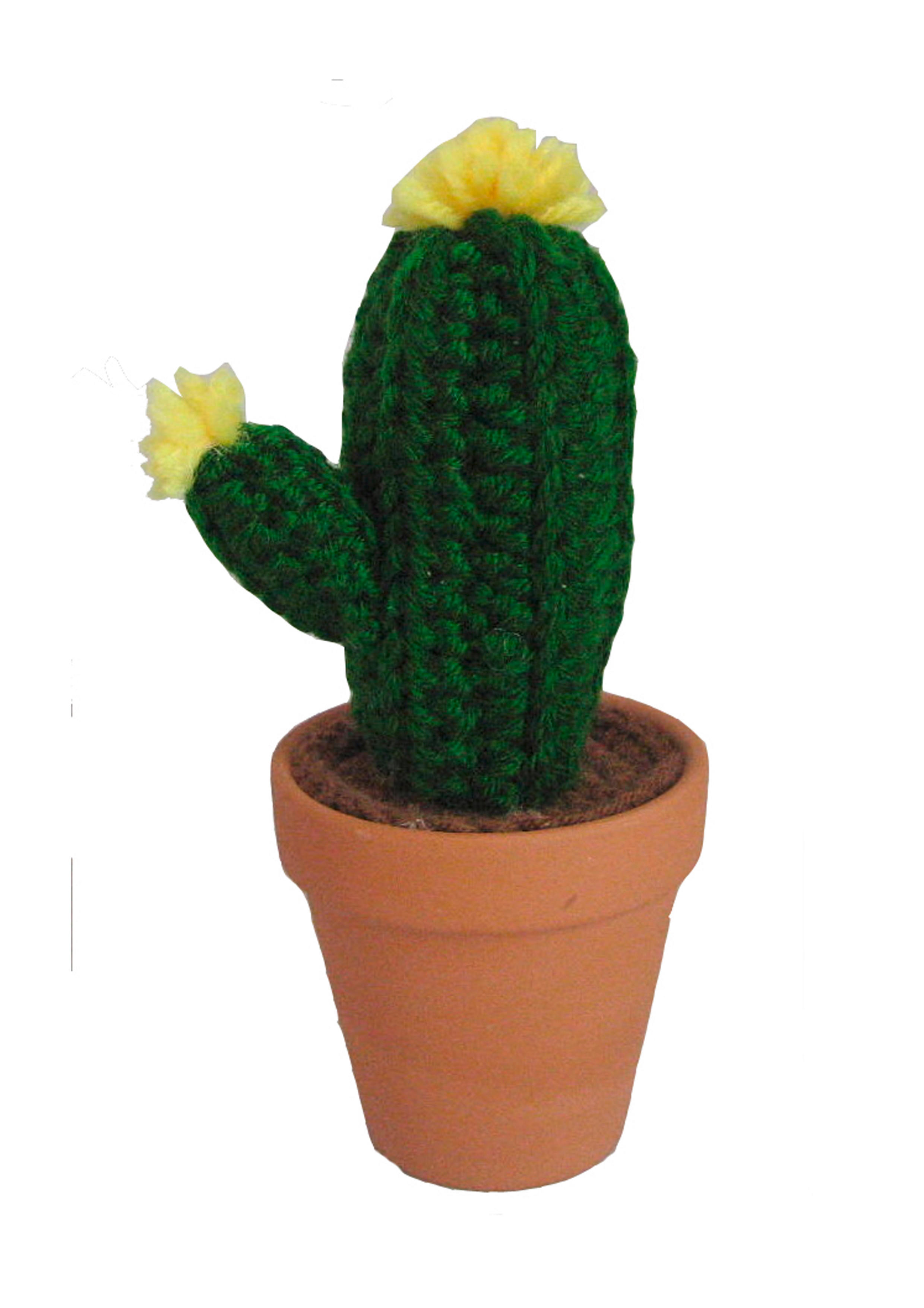 CACTUS DECORATIV