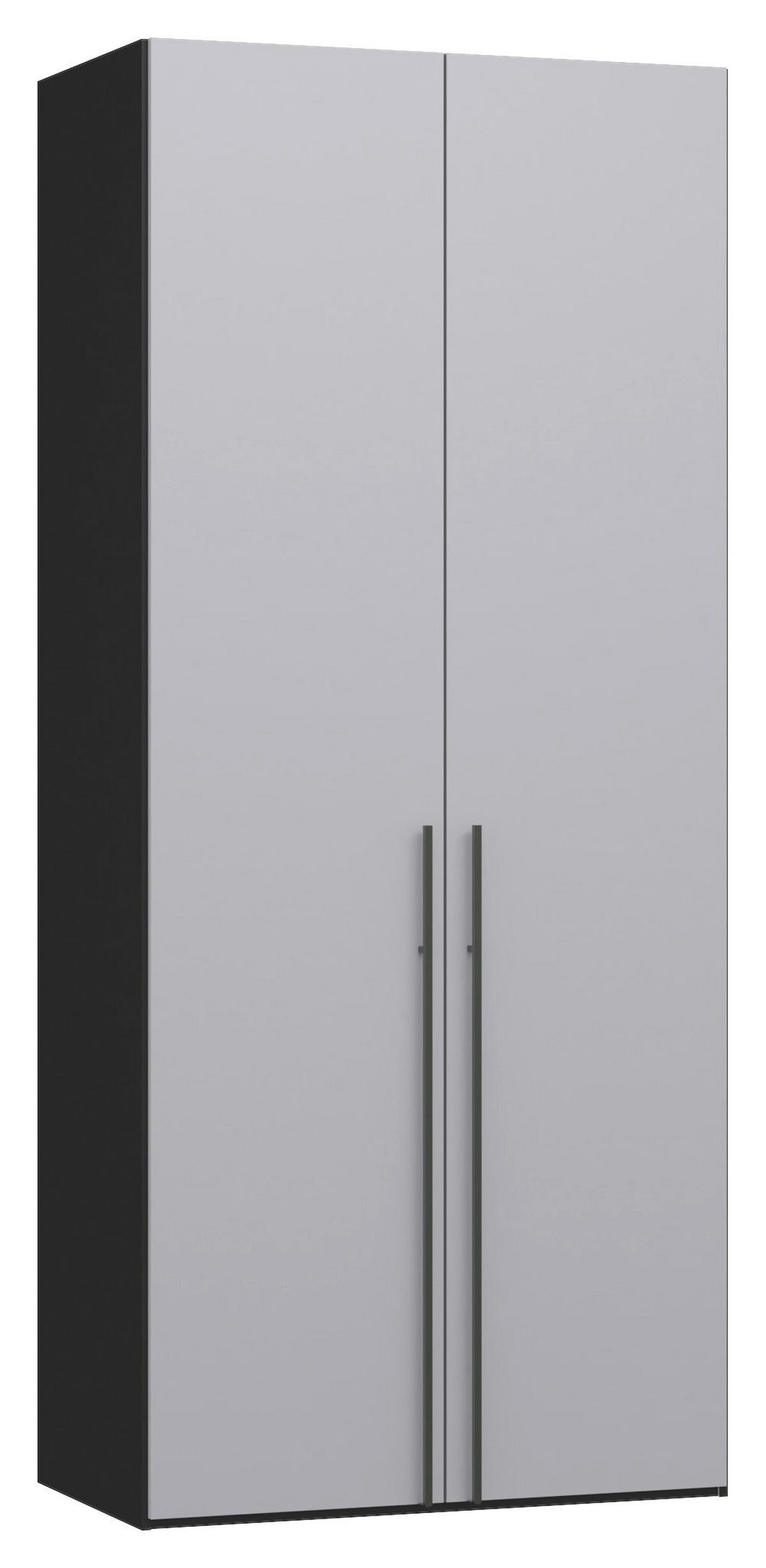 DREHTÜRENSCHRANK 102/220/59 cm,  in Schwarz, Hellgrau, 2-türig  - Titanfarben/Hellgrau, Design, Glas/Holzwerkstoff (102/220/59cm) - Jutzler