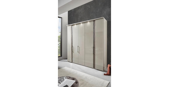 DREHTÜRENSCHRANK in Hellgrau - Chromfarben/Hellgrau, Design, Glas/Holzwerkstoff (250/216/59cm) - Dieter Knoll