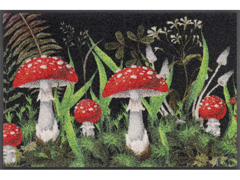 COVORAȘ DE INTRARE 50/75 cm  - multicolor, Trend, plastic/textil (50/75cm) - wash+dry