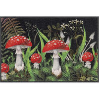 COVORAȘ DE INTRARE 50/75 cm  - multicolor, Trend, plastic/textil (50/75cm) - wash+dry