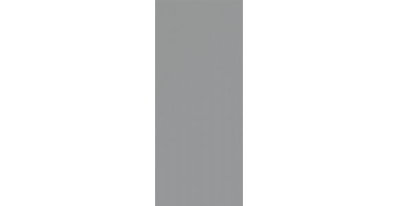 TÜR 45/89/1,6 cm Hellgrau  - Hellgrau, KONVENTIONELL, Holzwerkstoff (45/89/1,6cm) - Hom`in