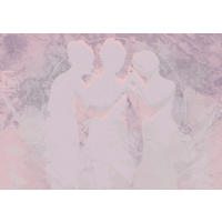 FOTOTAPET 400/280 cm  - rosa, Trend (400/280cm)