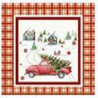 DÍSZPÁRNAHUZAT 45/45 cm  - bordó, Basics, textil (45/45cm)