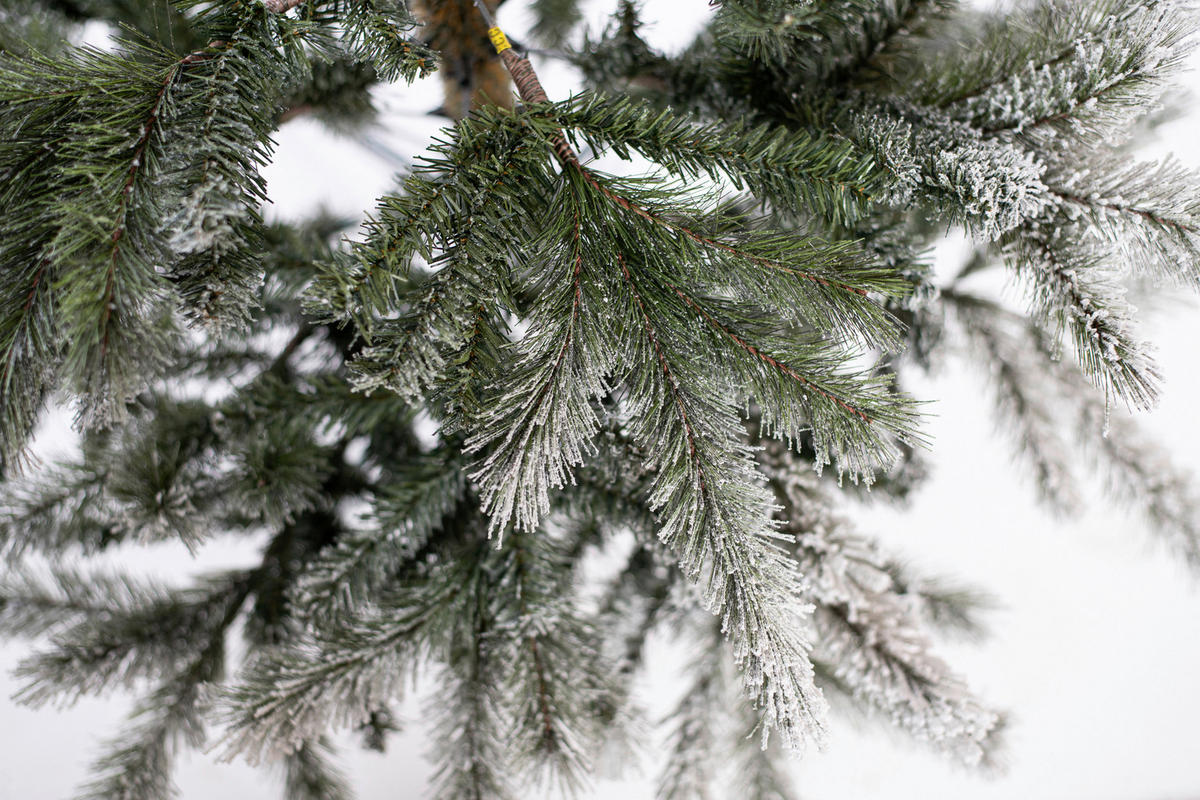 WEIHNACHTSBAUM 210 cm  - Grün, Basics, Kunststoff/Metall (210cm)