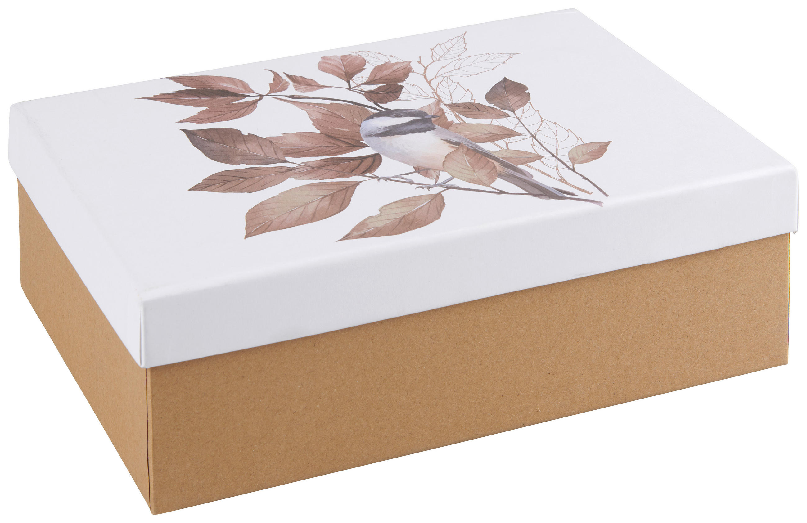 GESCHENKBOX  - Multicolor, Basics, Papier (26/8/17cm)