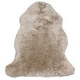 SCHAFFELL TIBET  - Beige, KONVENTIONELL, Fell - Esposa