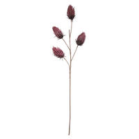 KUNSTBLUME  - Beere/Dunkelbraun, Basics, Kunststoff (105cm)