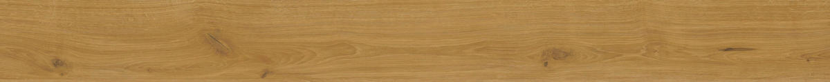 VINYLBODEN Elito Trend Eiche Natur 100004901  per  m² - Design, Holz (220/21,6/1cm) - Tilo