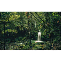 NON WOVEN-TAPET 400/250 cm  - Natur (400/250cm)