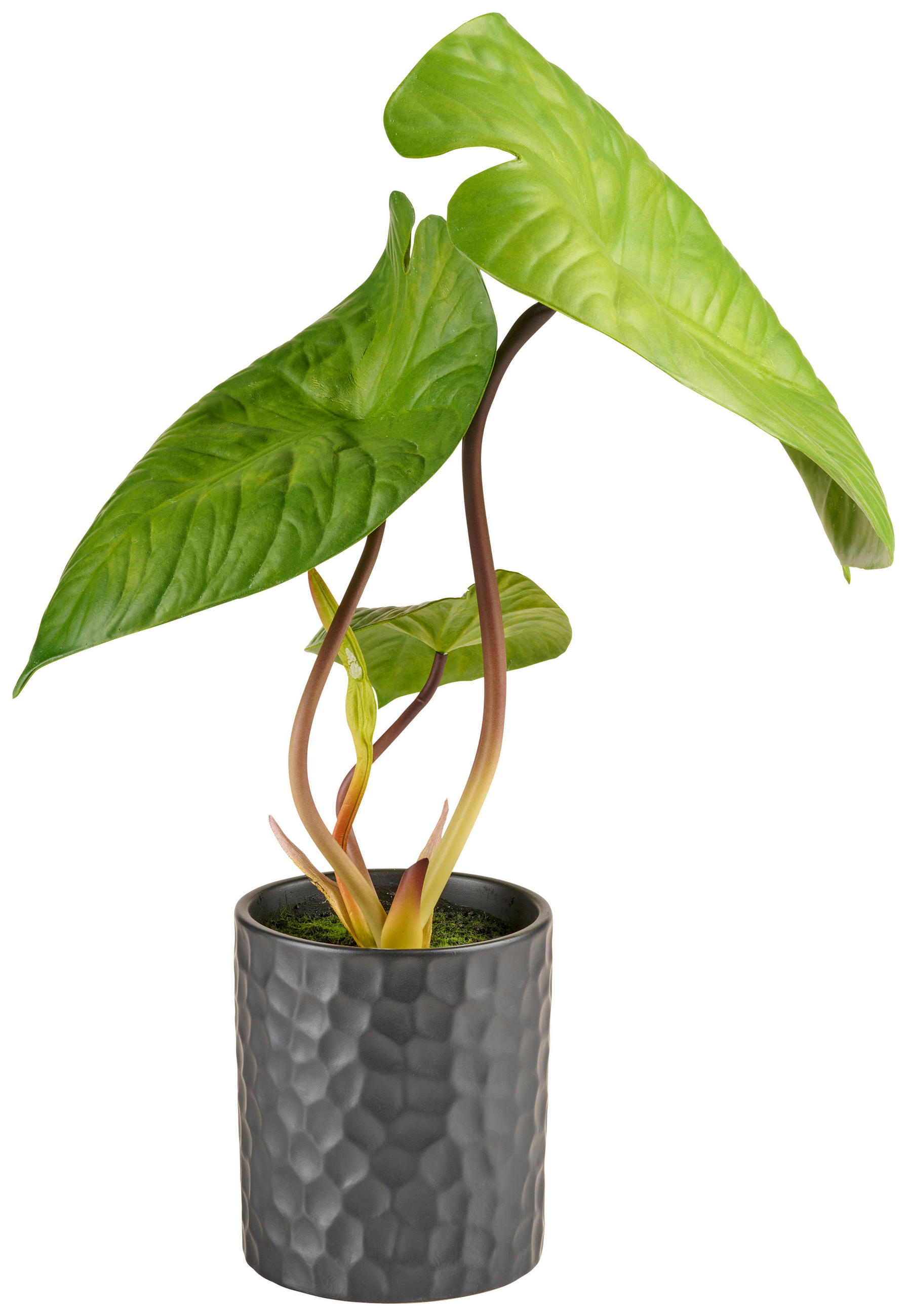 KONSTVÄXT 45 cm  - brun/svart, Basics, textil/plast (45cm)