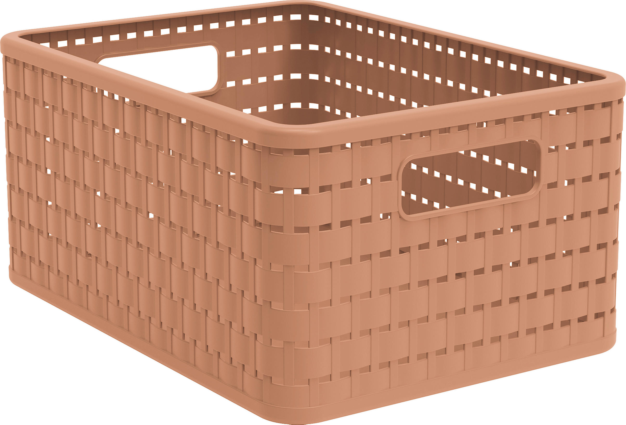 AUFBEWAHRUNGSBOX     - Koralle, Basics, Kunststoff (23,8/16/32,8cm) - Rotho