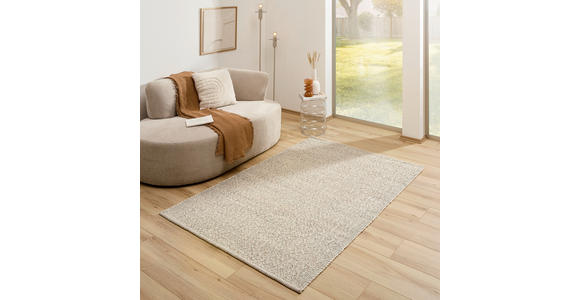 HANDWEBTEPPICH 120/170 cm Beige  - Beige, Natur, Textil (120/170cm) - Linea Natura