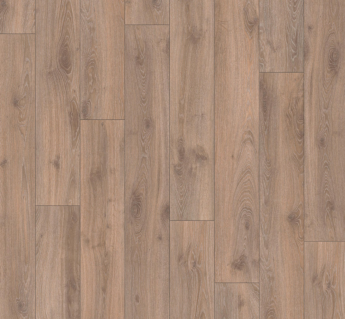 LAMINATBODEN Laminat Classic 1052  per  m² - Eichefarben, Basics, Holzwerkstoff (128.5/19.4/0.8cm) - Parador