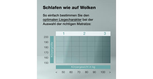 KALTSCHAUMMATRATZE 80/200 cm Höhe ca. 21 cm  - Weiß, Basics, Textil (80/200cm) - Sleeptex
