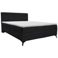 BOXBETT 160/200 cm  in Anthrazit  - Anthrazit/Schwarz, Design, Holz/Holzwerkstoff (160/200cm) - Xora