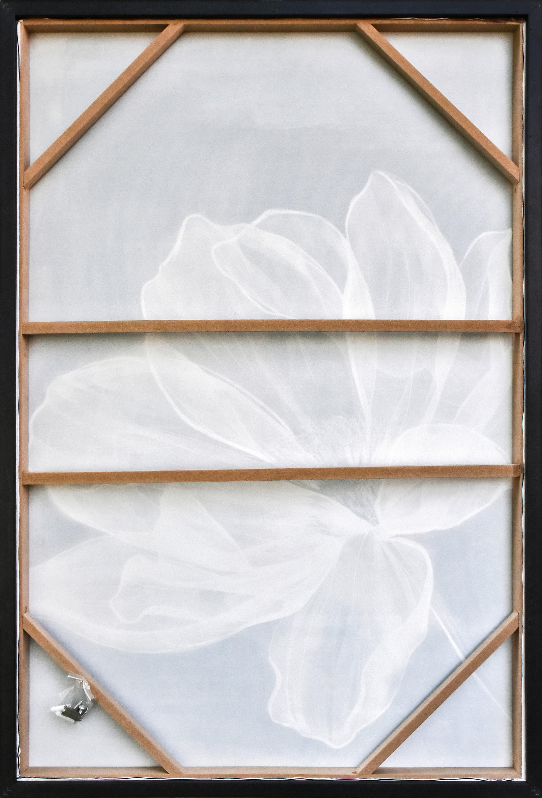 BILD Blumen 80/120 cm  - Wengefarben/Braun, LIFESTYLE, Holzwerkstoff/Kunststoff (80/120cm) - Monee