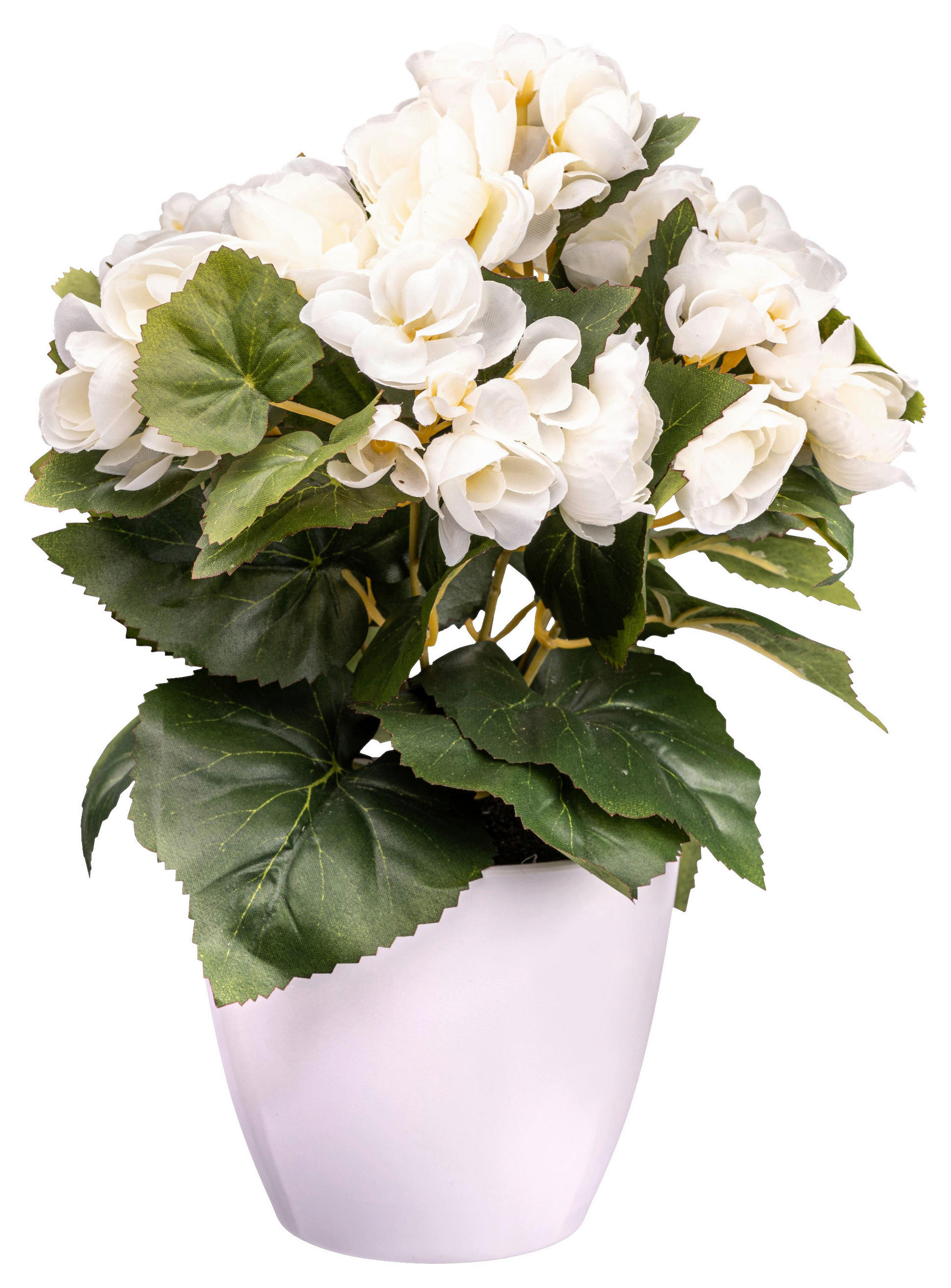 KUNSTPFLANZE 28 cm  - Creme/Weiß, Design, Kunststoff (28cm) - P & B
