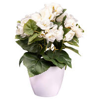 KUNSTPFLANZE 28 cm  - Creme/Weiß, Design, Kunststoff (28cm) - P & B