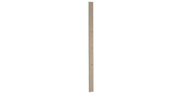 GARDEROBENPANEEL in 10/165/3 cm - Taupe, Design, Holzwerkstoff/Metall (10/165/3cm) - Moderano