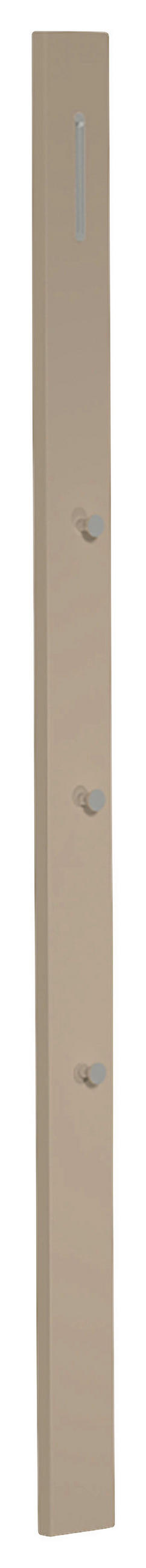 PANNEAU DE GARDE-ROBE  in 10/165/3 cm  - Taupe, Design, Holzwerkstoff/Metall (10/165/3cm) - Moderano